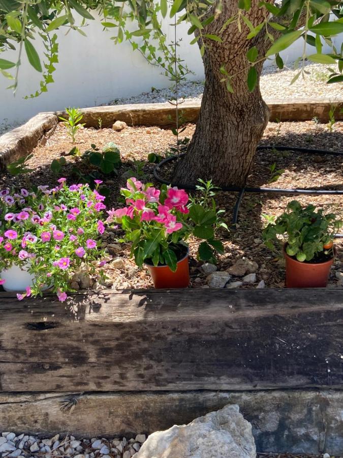 Javea Villa Entiere Piscine Et Cuisine D'Ete A Pinosol Exterior foto